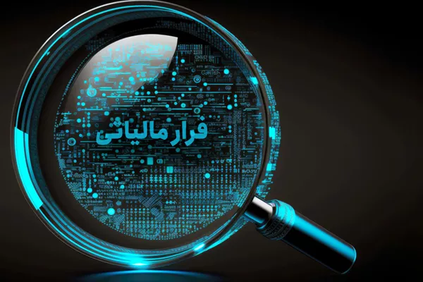 شناسایی و ردیابی شبکه‌های فرار مالیاتی با تکیه بر داده‌کاوی و الگوریتم های هوشمند