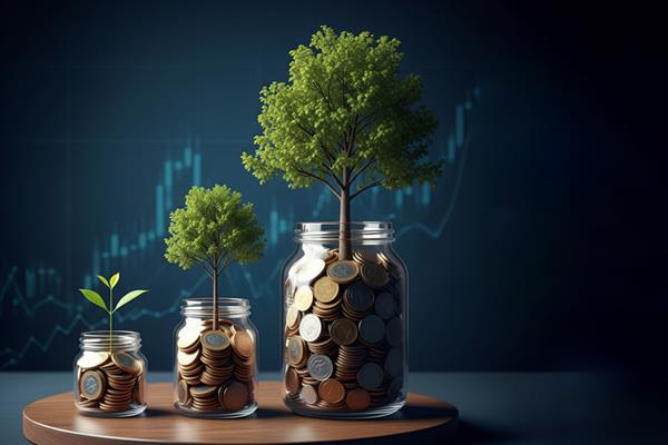 نشان‌دارکردن مالیات، طرحی برای آینده‌ای درخشان در گلستان