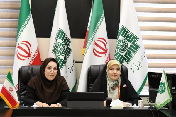 روایتی از تاثیر هوشمندسازی مالیات بر رشد کسب‌وکارها در ایران / وقتی مالیات‌ستانی هوشمندتر می‌‏شود، کارآفرینی قوی‏تر می‌‏شود