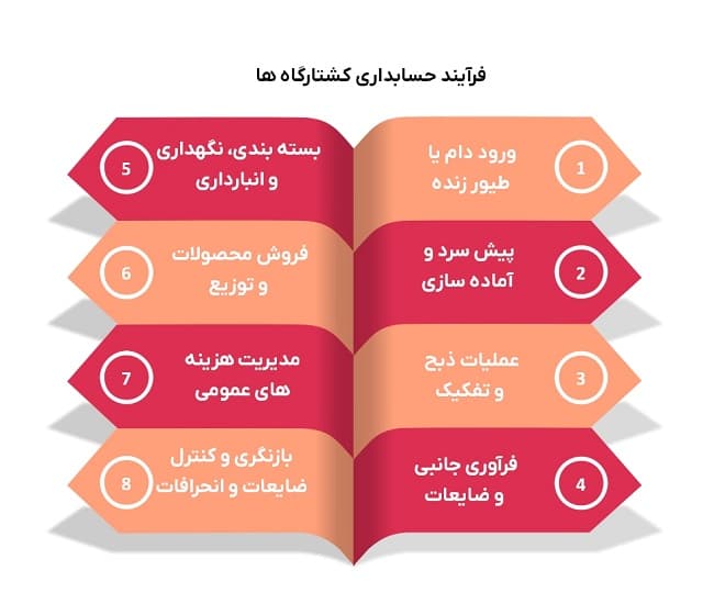 نحوه حسابداری کشتارگاه ها - فرآیند عملیاتی