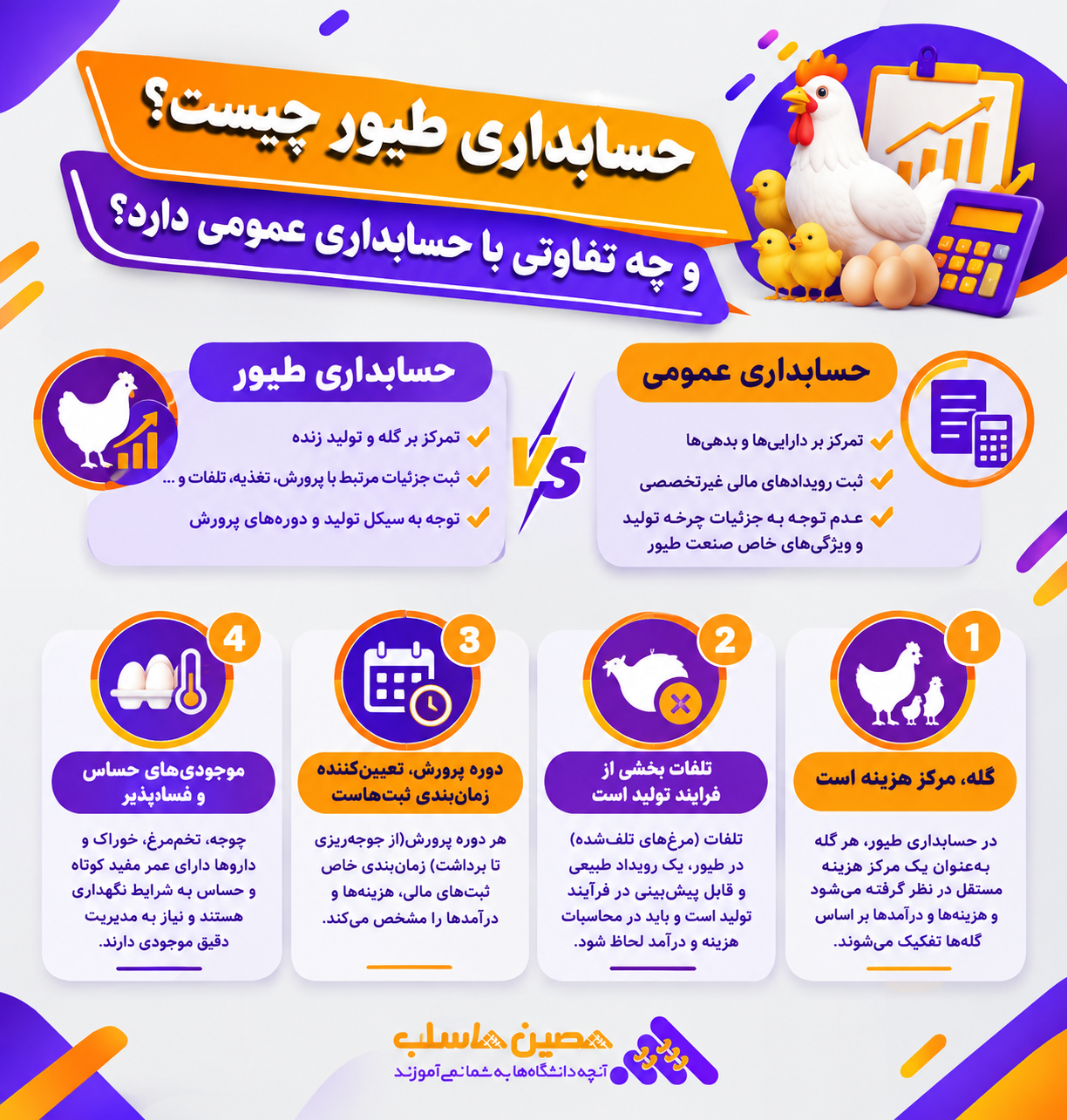 حسابداری طیور چیست