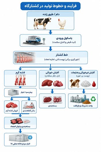 انواع کشتارگاه و خطوط تولید