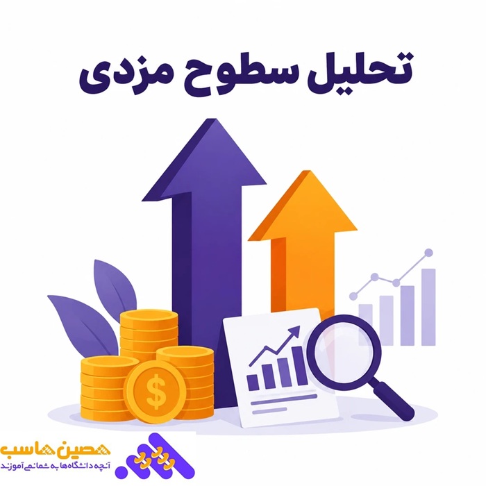 تحلیل سطوح مزدی