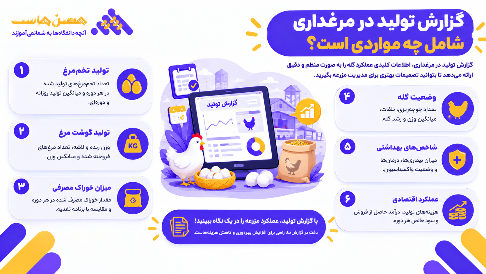 گزارش تولید در مرغداری